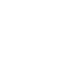 Carpet Steam Shampoo